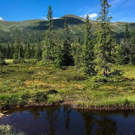 Casa de Férias Amazing In With Wifi *