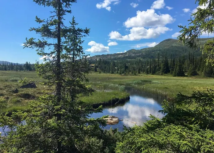 Amazing In With Wifi Casa de Férias Flå